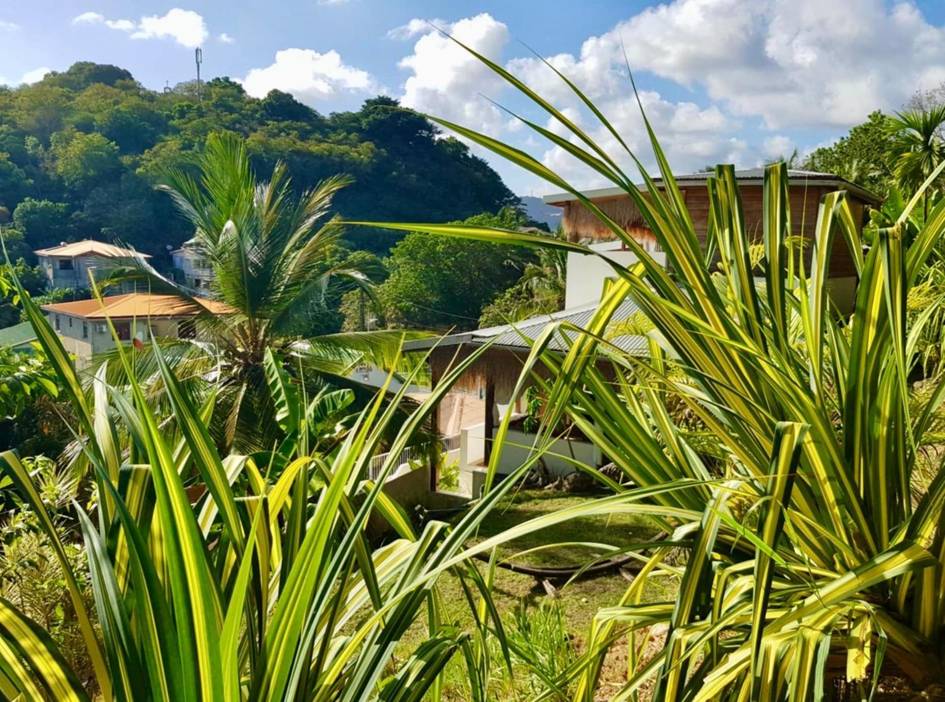 Cocotier, Elegant T3 Avec Jardin Tropical Apartment Sainte-Anne Bagian luar foto